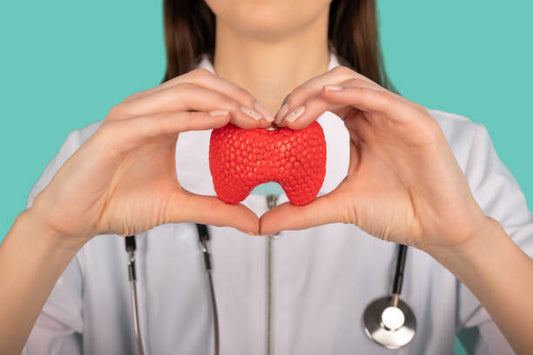 Best Multivitamin for Women with Hashimoto’s or Hypothyroidism (With Research Insights)